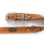 Pro Line Leather Hunting Dog Collar
