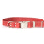 Quick-Release Style Leather Collar and Leash Set