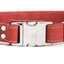 Pro Line Quick-Release Coral Reef Leather Dog Collar with Metal Buckle