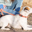 Quick-Release Style Leather Collar and Leash Set