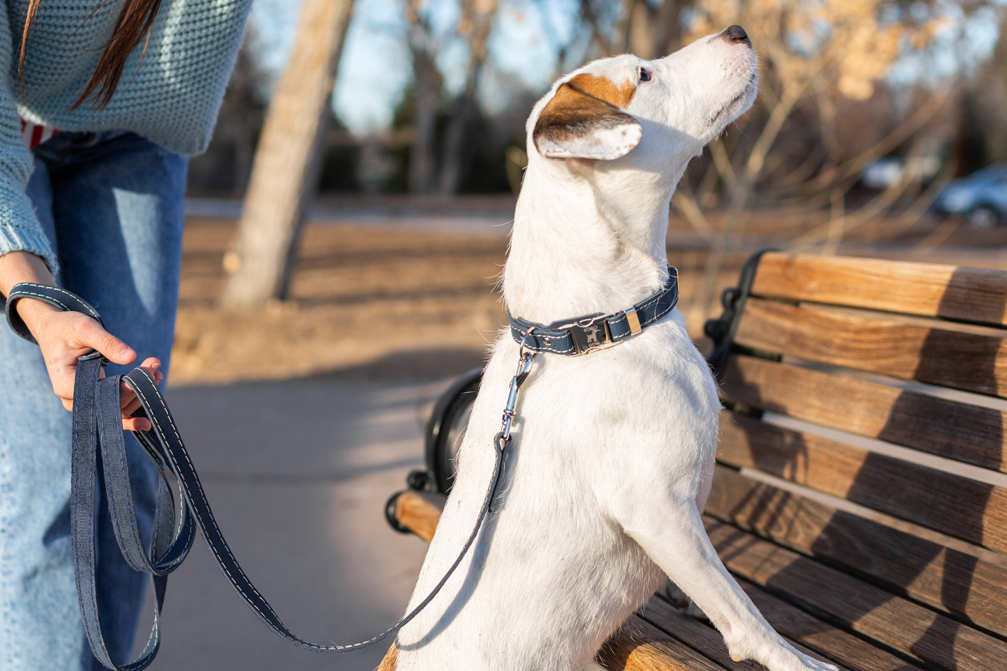 Pro Line Quick-Release Blue Jeans Leather Dog Collar with Metal Buckle