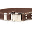 Pro Line Quick-Release Chocolate Leather Dog Collar with Metal Buckle