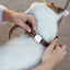 Pro Line Quick-Release Chocolate Leather Dog Collar with Metal Buckle