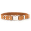 Pro Line Quick-Release Khaki Leather Dog Collar with Metal Buckle