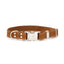 Pro Line Quick-Release Earth Brown Leather Dog Collar with Metal Buckle