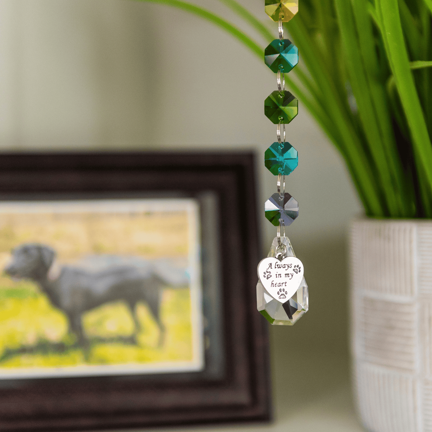 Crystal Rainbow Suncatcher for Dogs and Cats