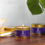 All Natural Soy Wax - Pet Odor Eliminator Candle