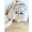 Organic Dog Blanket - Sherpa Cotton - Cream