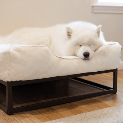 The FÜZI Elevated Dog Bed