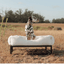 The FÜZI Elevated Dog Bed