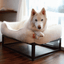 The FÜZI Elevated Dog Bed