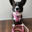 Dog Rope Leash - Rosie