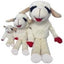 Multipet Standing Floppy Lamb Chop® 14"