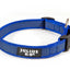 Julius-K9 Color & Gray® Collar