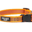 Julius-K9 Color & Gray® Collar