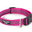 Julius-K9 Color & Gray® Collar