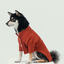 BERT CARDIGAN SWEATER - ORANGE