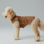 Reversible Dog Vest Jacket - Orange Grey