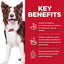 Hill's Science Diet Adult Perfect Digestion Salmon, Whole Oats & Brown Rice Recipe Dry Dog Food Bag