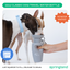 22oz Original Travel Dog Water Bottle