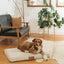 Ecru | Modern Dog Bed or Bed Cover
