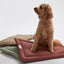 Warby Jasmine Cozy Mat