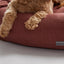 Warby Cranberry Donut Bed