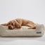 Lolly White Lounge Bed
