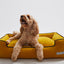 Bumble Chartreuse Lounge Bed