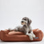 Warby Terracotta Lounge Bed