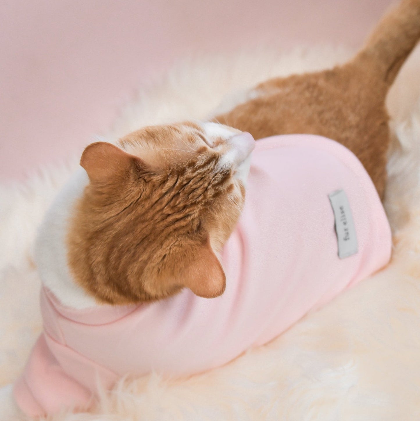 Fur Elise Spoiled Mock Neck Shirt - Blush