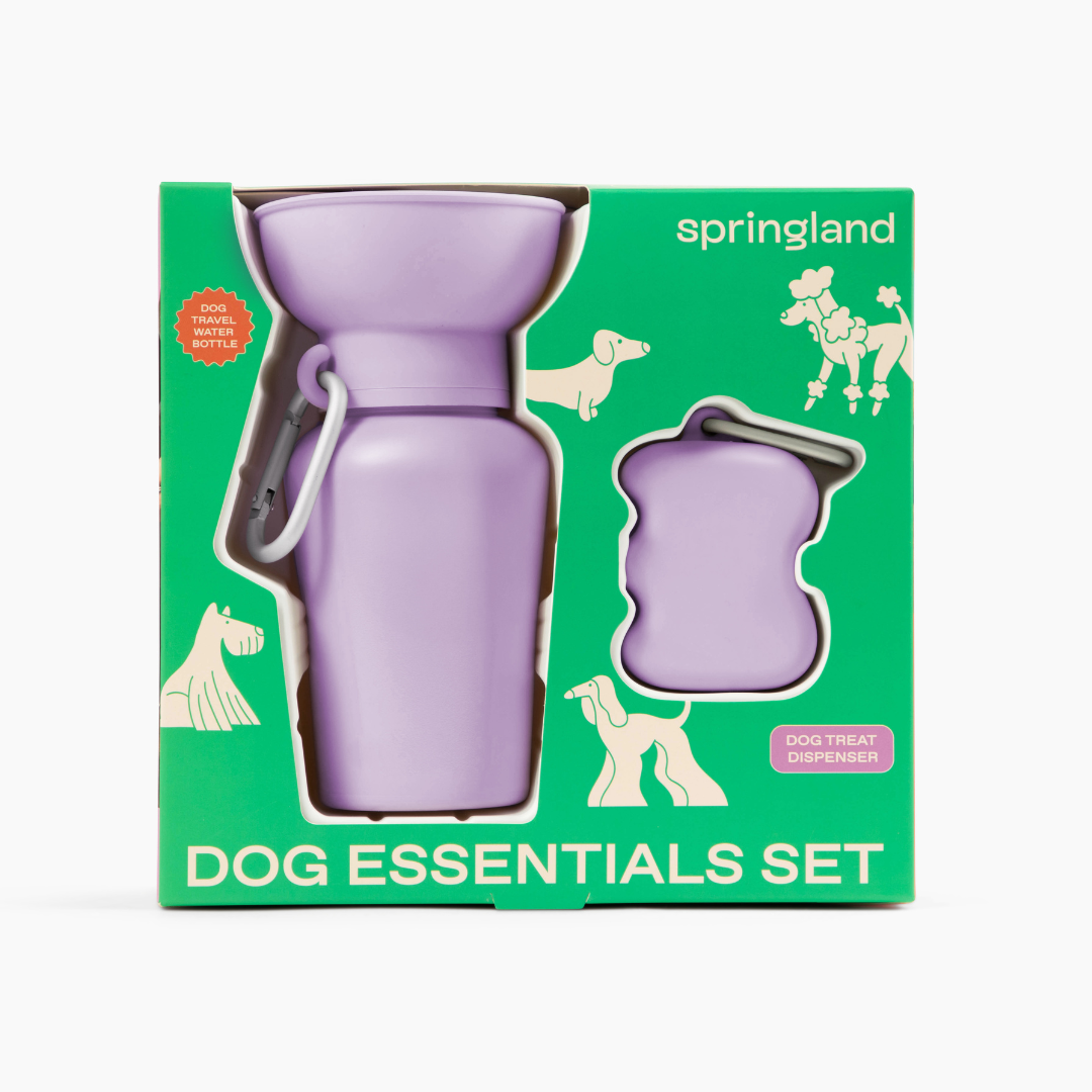 Dog Essentials Gift Box Set