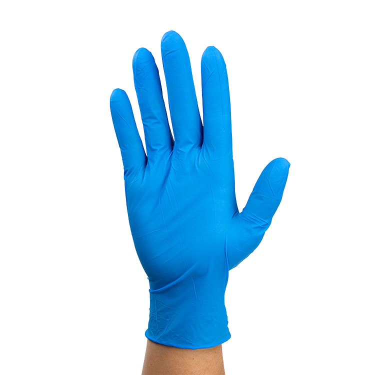 Dynarex Nitrile Exam Gloves In A Bag - Large Powder-Free, Blue - 2prs/bg, 500bgs/cs (1000 Pairs)