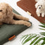 Sage | Modern Dog Bed or Bed Cover