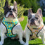 Chasing Rainbows Reversible Harness