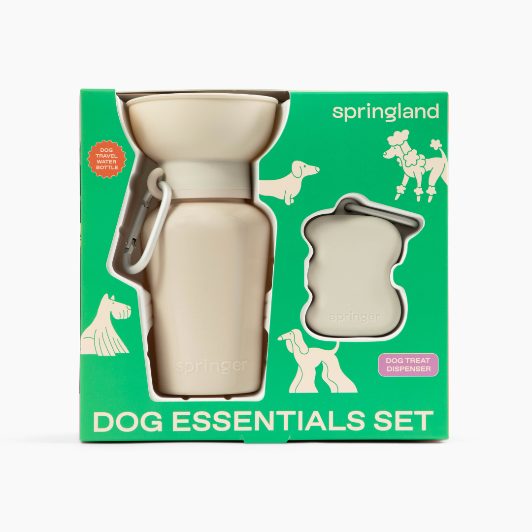 Dog Essentials Gift Box Set