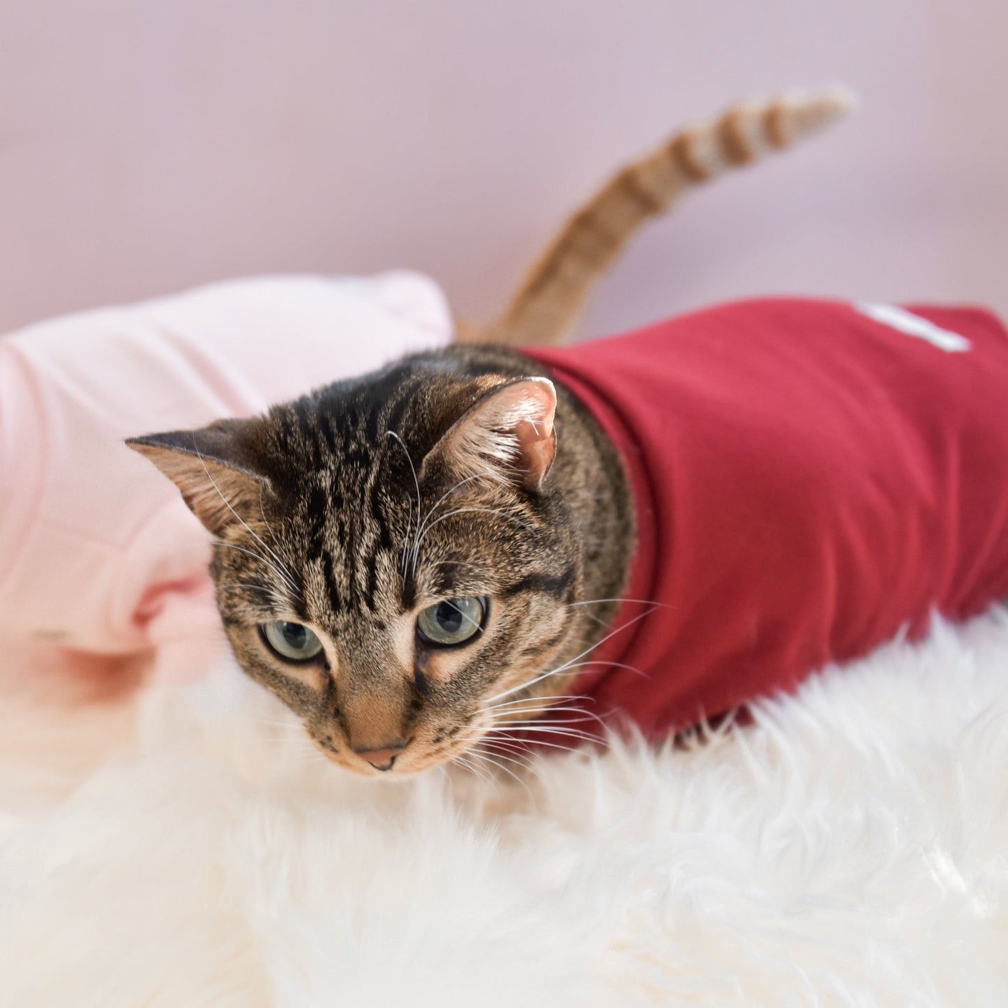 Fur Elise Spoiled Mock Neck Shirt - Lucky