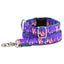 1″ Nocturnal – Fox and Mushroom Essential Buckle Martingale Dog Collar