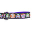 1″ XOLO – Sugar Skull Ribbon Dog Leash