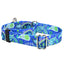 Paw Paisley Martingale Dog Collar – EarthStyle