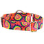 Classic Tie-Dye Martingale Dog Collar – EarthStyle