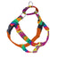 BFF (Best Friends Forever) Freedom No-Pull Dog Harness – EarthStyle