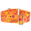 Orange Paisley Martingale Dog Collar – EarthStyle