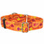 Orange Paisley Martingale Dog Collar – EarthStyle