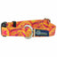 Orange Paisley Dog Collar – EarthStyle