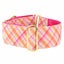 Pink Plaid Elite Velvet Martingale Dog Collar