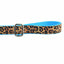 Soft Kitty Velvet Dog Leash (Multiple Webbing Color Options)