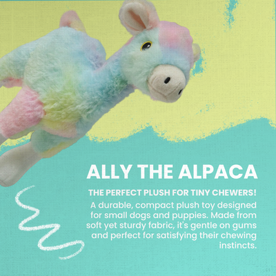 Ally the Alpaca