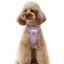 NO PULL ACTIVE  PET HARNESS - MINT PURPLE