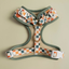 Sage & Cider Adjustable Harness